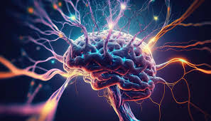 Neurology cc_3092