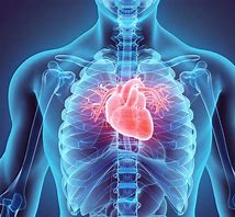 Arrhythmias | Types, Pathophysiology, Diagnosis, Treatment cc_596