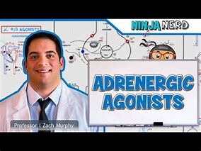 Autonomic Pharmacology | Adrenergic Agonists cc_643
