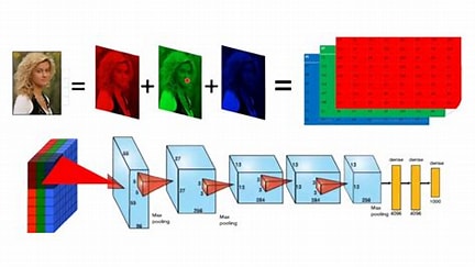Build a Deep CNN Image Classifier with ANY Images cc_785