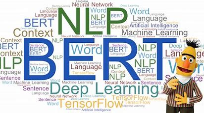 Building an entity extraction model using BERT cc_933